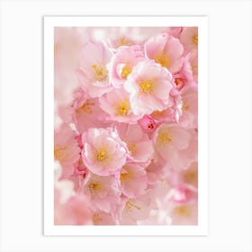 Pink Flowers Cherry Blossoms Art Print