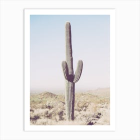 Saguaro Cactus In Arizona Art Print