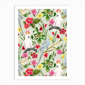 Parakeet And Cockatoo Garden Art Print