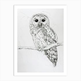 Boreal Owl Marker Drawing 1 Art Print
