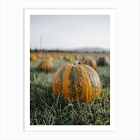 Almost Ripe Pumpkin Art Print