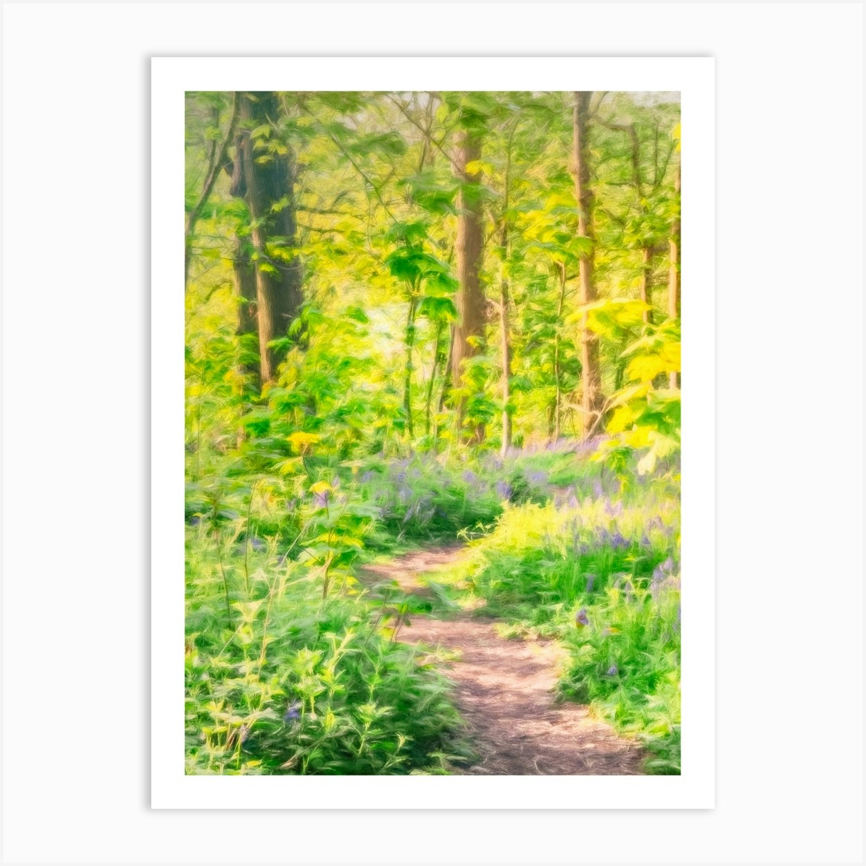 Woodland Path Through Bluebells Art Print by Paul J Bucknall