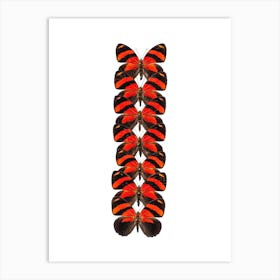 Row Of Red Butterflies Art Print