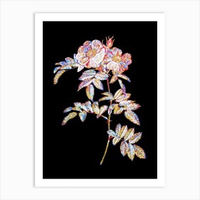 Stained Glass Shining Rosa Lucida Mosaic Botanical Illustration on Black n.0132 Art Print