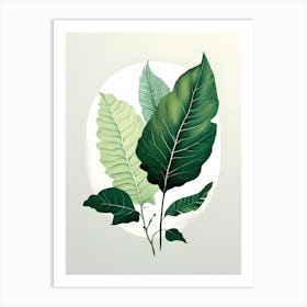 Green Leaves On A White Background 1 Art Print