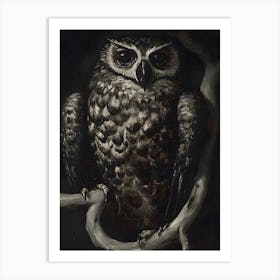 Owl In The Dark Art Print