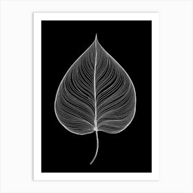 Leaf On A Black Background Art Print