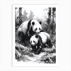 Giant Panda Playing Together In A Forest Ink Illustration 3 Art Print