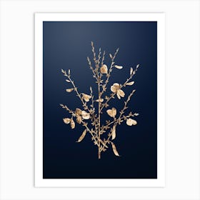 Gold Botanical Yellow Broom Flowers on Midnight Navy Art Print
