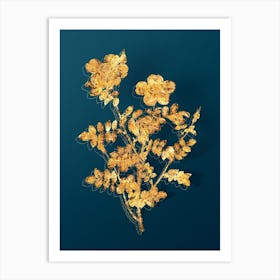 Vintage Variegated Burnet Rose Botanical in Gold on Teal Blue n.0111 Art Print