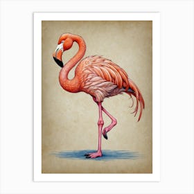 Flamingo 9 Art Print