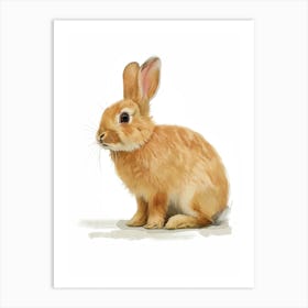 Netherland Dwarf Rabbit Nursery Illustration 1 Art Print