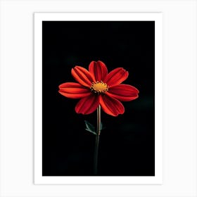 Red Flower 3 Art Print