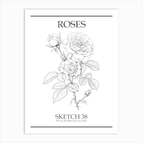Roses Sketch 38 Poster Art Print