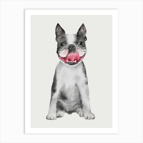 Boston Terrier Dog Art Print