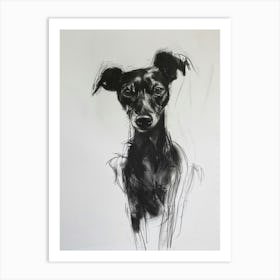 German Pinscher Charcoal Dog Line Art Print