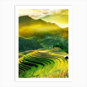 Rice Terraces In Vietnam Art Print
