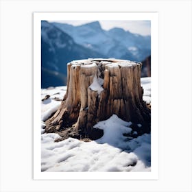 Tree Stump In The Snow Art Print