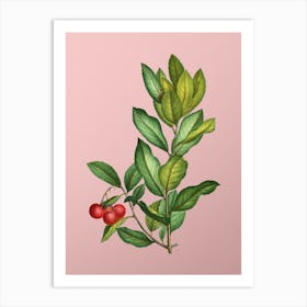 Vintage Strawberry Tree Branch Botanical on Soft Pink Art Print