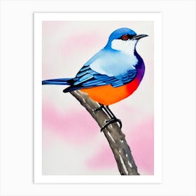 Mockingbird 2 Watercolour Bird Art Print