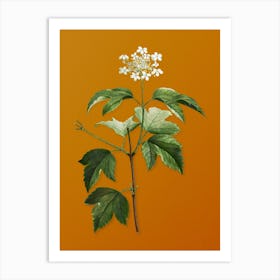 Vintage Guelder Rose Botanical on Sunset Orange n.0003 Art Print