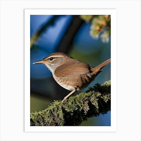 House Wren -Reimagined 13 Art Print