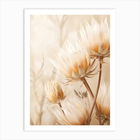 Boho Dried Flowers Protea 1 Art Print