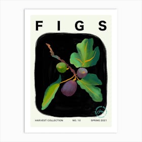 Figs Fruit Kitchen Typography Art Print