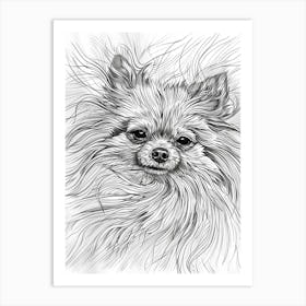 Pomeranian Line Sketch 2 Art Print