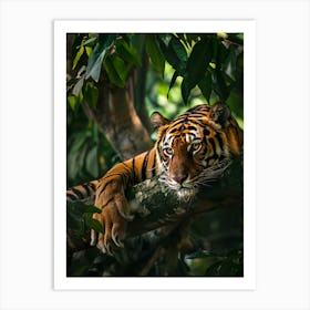 Tiger Resting In Tree Art Print