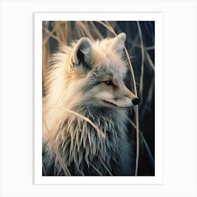 Bengal Fox Photorealistic 4 Art Print