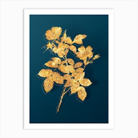 Vintage Short Styled Field Rose Botanical in Gold on Teal Blue n.0038 Art Print