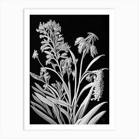 Prairie Milkweed Wildflower Linocut 1 Art Print