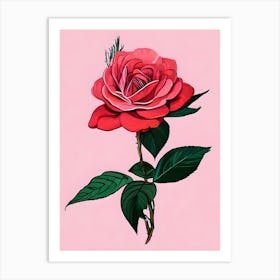 Rose On A Pink Background Art Print