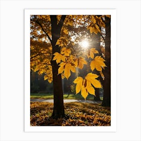 Autumn Leaves In The Park Art Print