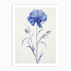 Blue Botanical Cornflower 3 Art Print