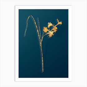 Vintage Gladiolus Ringens Botanical in Gold on Teal Blue Art Print