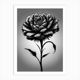 A Carnation In Black White Line Art Vertical Composition 20 Art Print