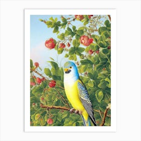 Budgerigar Haeckel Style Vintage Illustration Bird Art Print