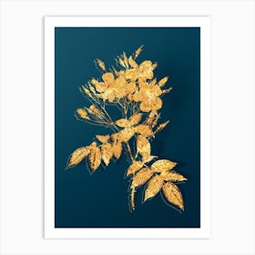Vintage Musk Rose Botanical in Gold on Teal Blue n.0027 Art Print