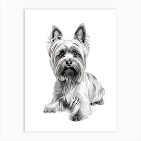Yorkshire Terrier Dog, Line Drawing 3 Art Print