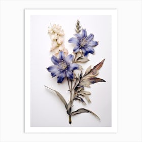 Pressed Flower Botanical Art Veronica Flower 1 Art Print