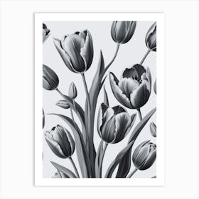 Black And White Tulips 11 Art Print