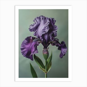 Iris Fl 10 Art Print