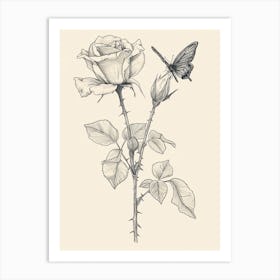 English Rose Butterfly Line Drawing 4 Art Print