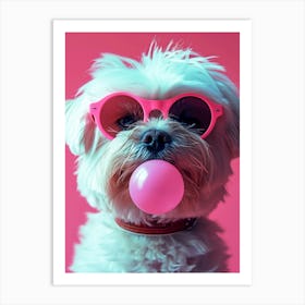 Maltese Dog Chewing Gum Art Print
