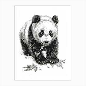 Giant Panda Cub Playing With A Fallen Leaf Ink Illustration 2 Art Print