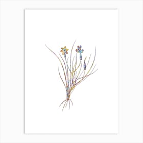 Stained Glass Golden Blue eyed Grass Mosaic Botanical Illustration on White n.0084 Art Print