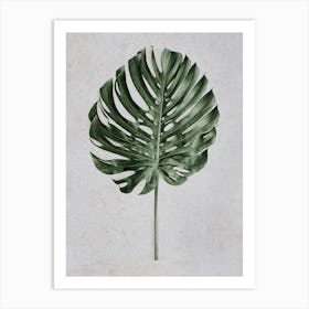 Tropical Monstera Deliciosa Leaf Art Print