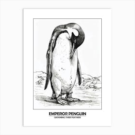 Penguin Grooming Their Feathers Poster 2 Art Print